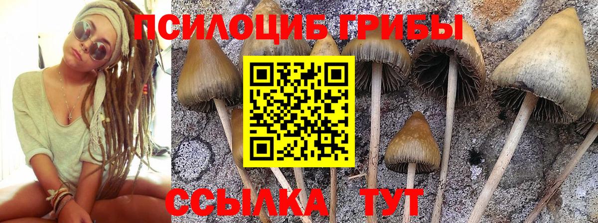 Галлюциногенные грибы GOLDEN TEACHER  Вход с VPN  Берёзовский 