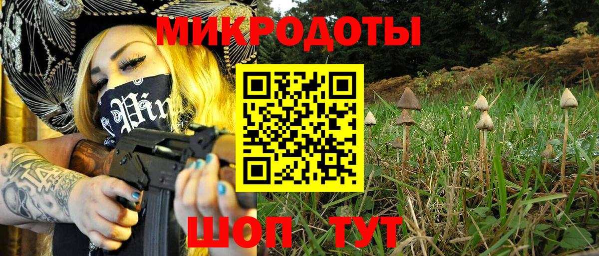 Псилоцибиновые грибы MAGIC MUSHROOMS Берёзовский