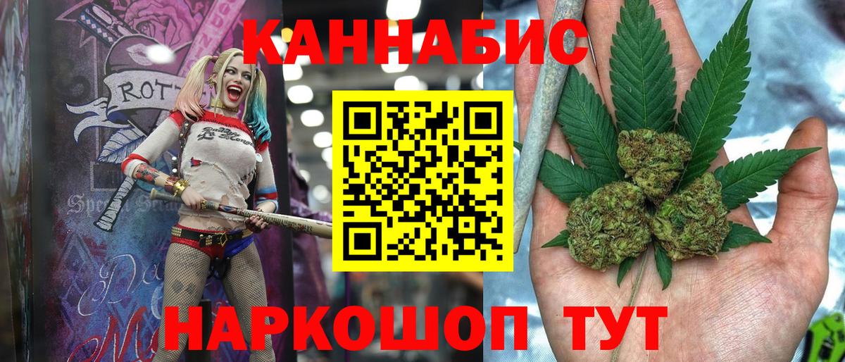 Канабис планчик Берёзовский